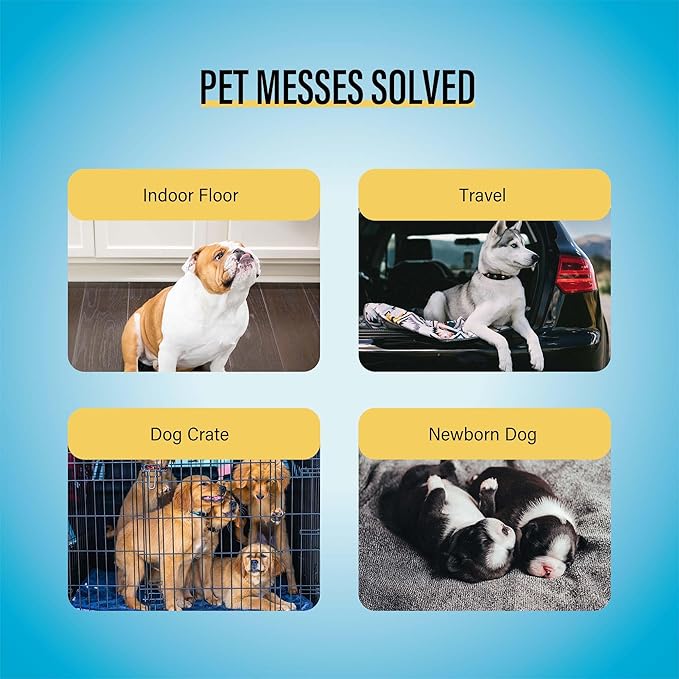 COCOYO Best Value 22"x22" Dog Training Pads 50 Count | Dog Pee | Super - Image 5