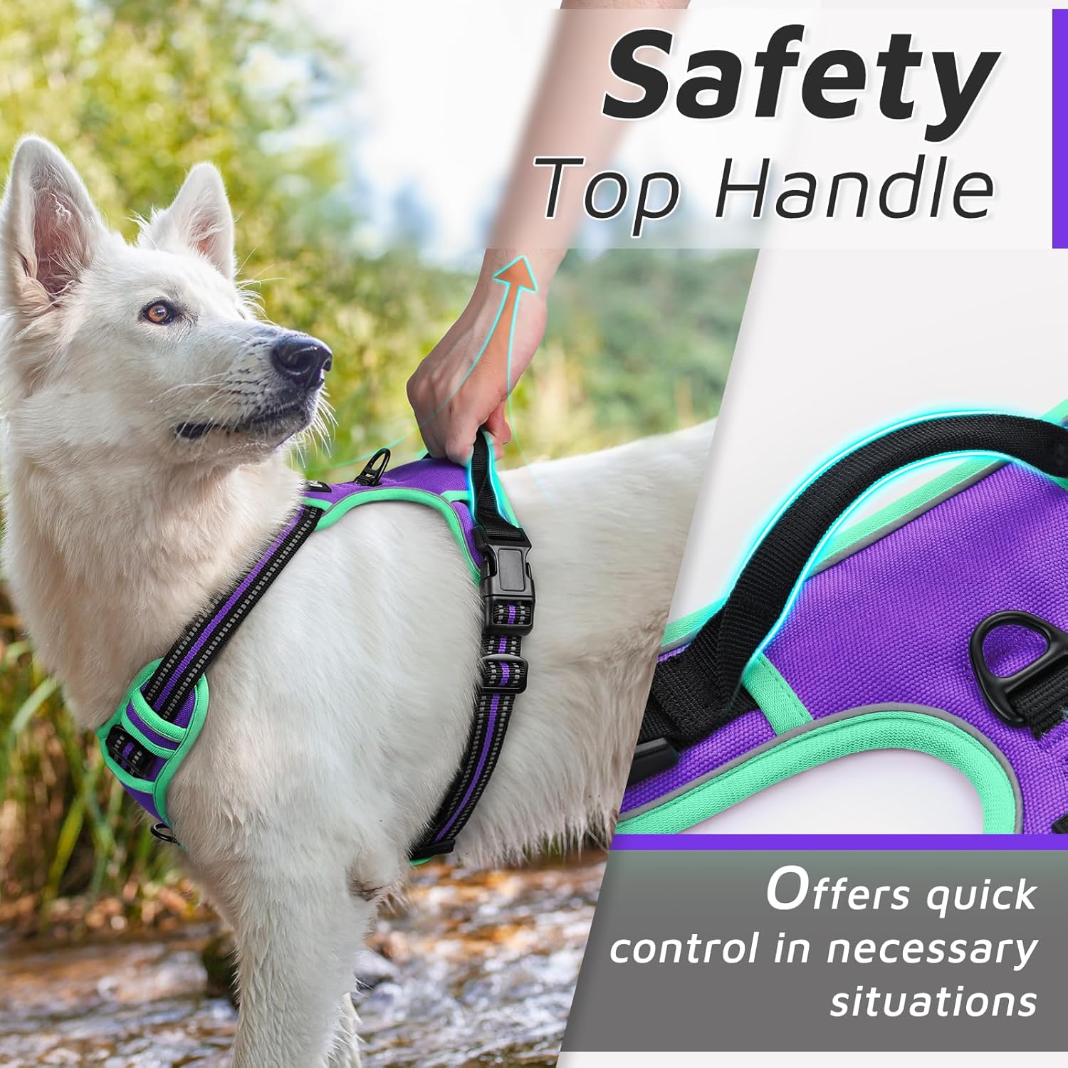 Eagloo Dog Harness for Large Dogs, No Pull Service Vest with Reflective Strips and Control Handle, Adjustable and Comfortable for Walking, No Choke Pet Harness with 2 Metal Rings, Purple & Green, L