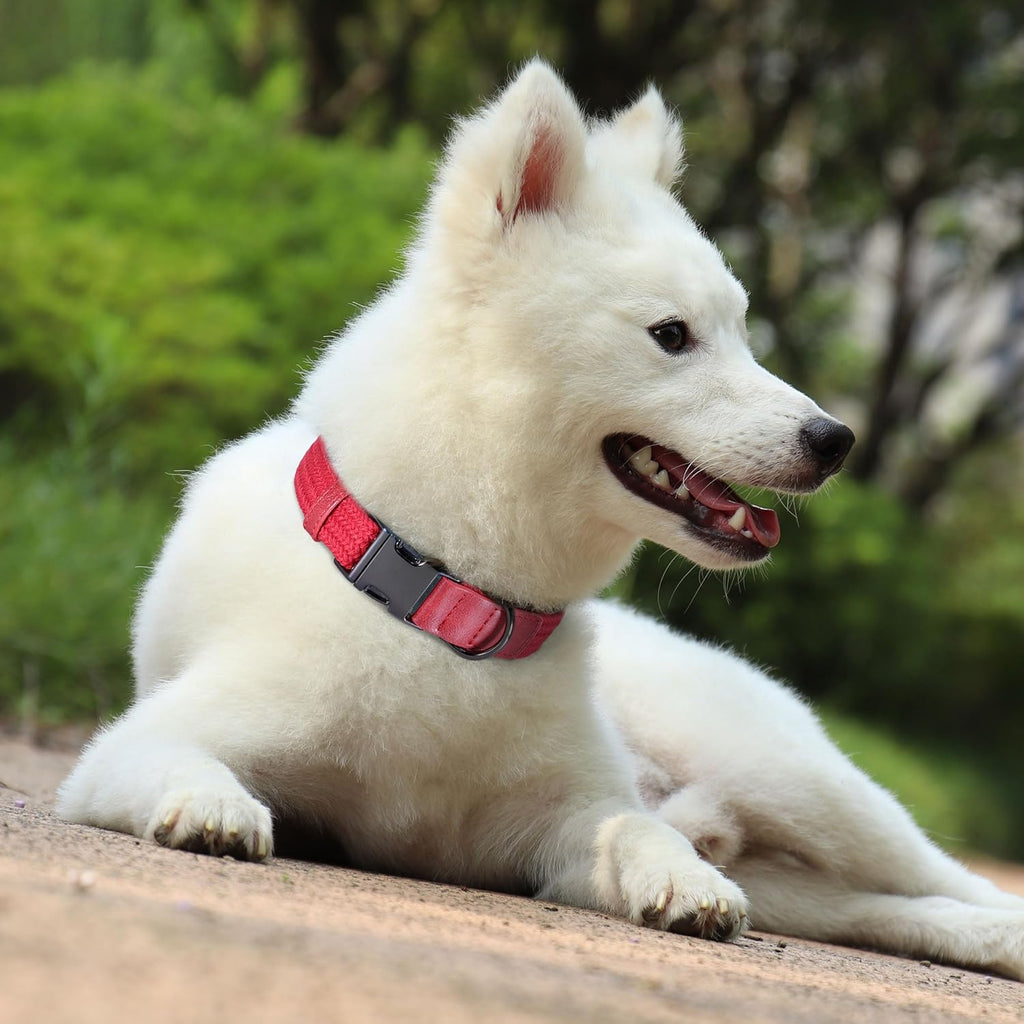PET ARTIST Soft Cotton Dog Collar for Small Dogs in Glamorous Red, Simple Dog Collar with Quick Release Metal Buckle & D Ring, S Size (10-16")