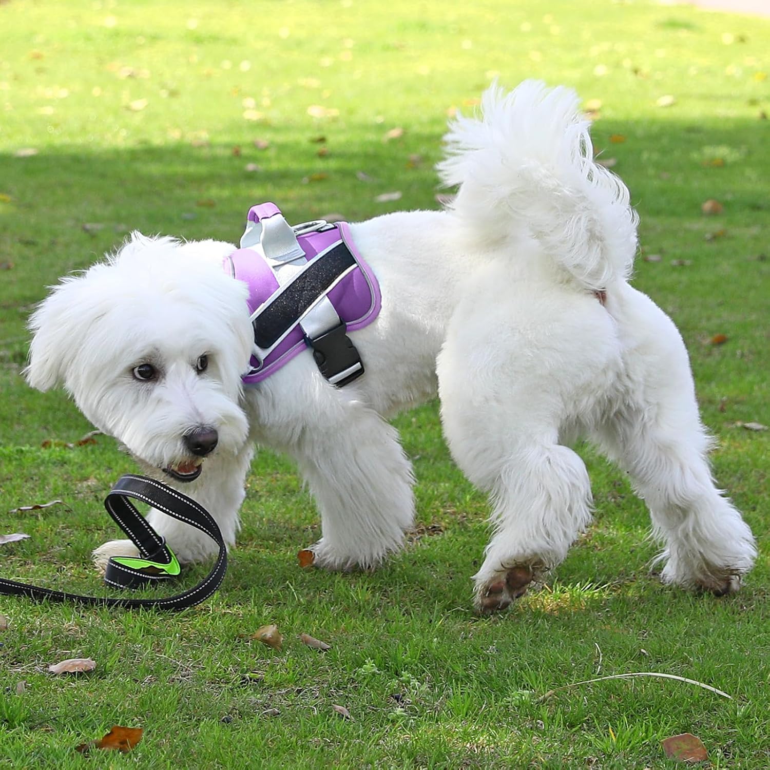 Bolux Dog Harness, No-Pull Reflective Dog Vest, Breathable Adjustable Pet Harness with Handle for Outdoor Walking - No More Pulling, Tugging or Choking (Lavender, X-Small (Pack of 1))