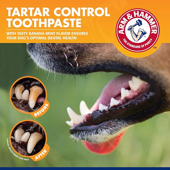Arm & Hammer for Pets Tartar Control Dog Dental Care Kit Banana Mint Flavor - Image 4