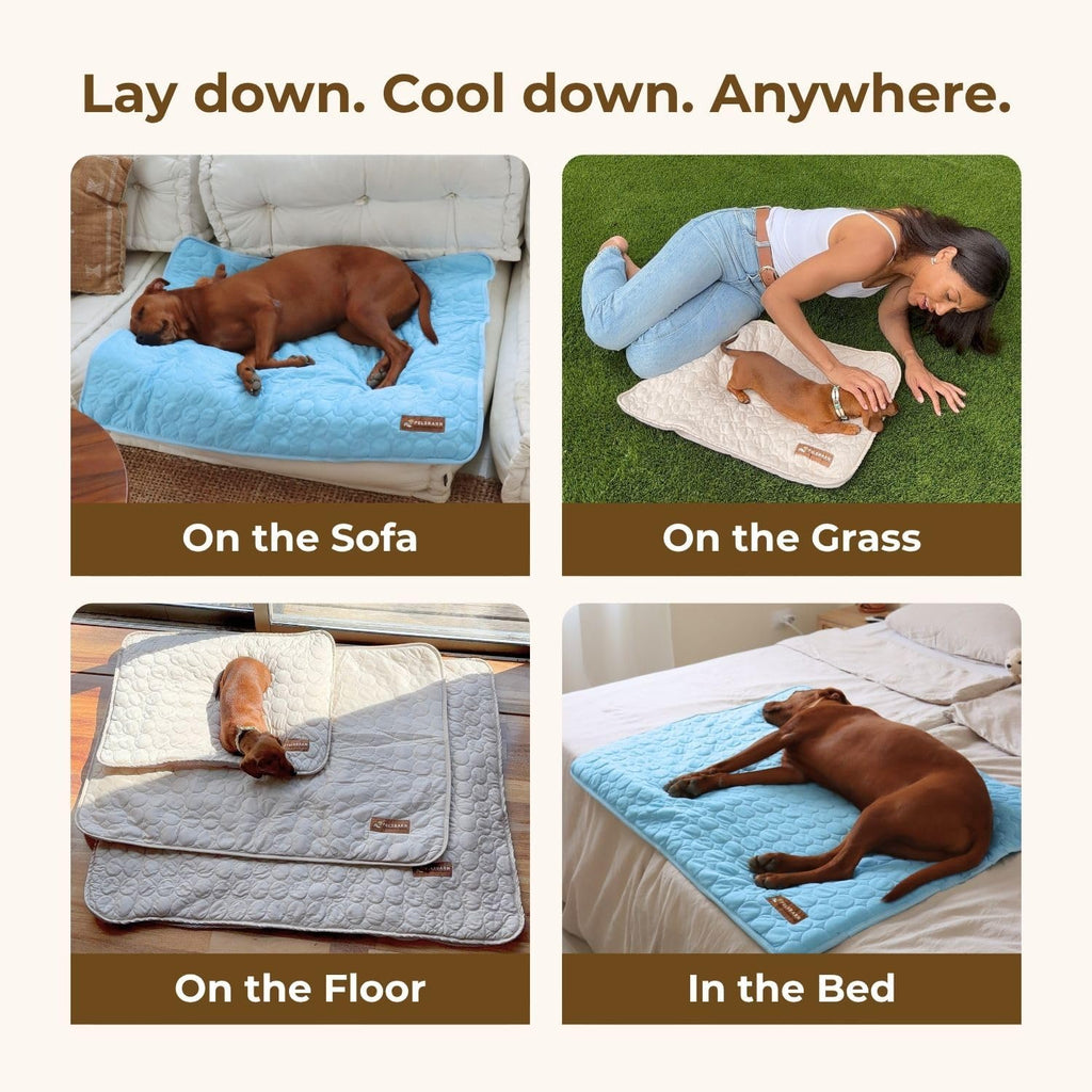 Dog Cooling Mat- Ice Silk Summer Comfort, Self Cooling, Non-Slip Dog Pad, Durable & Washable, Mat for Medium Dogs 50x65 cm, Support Shelter Dogs with Every Purchase (Blue)