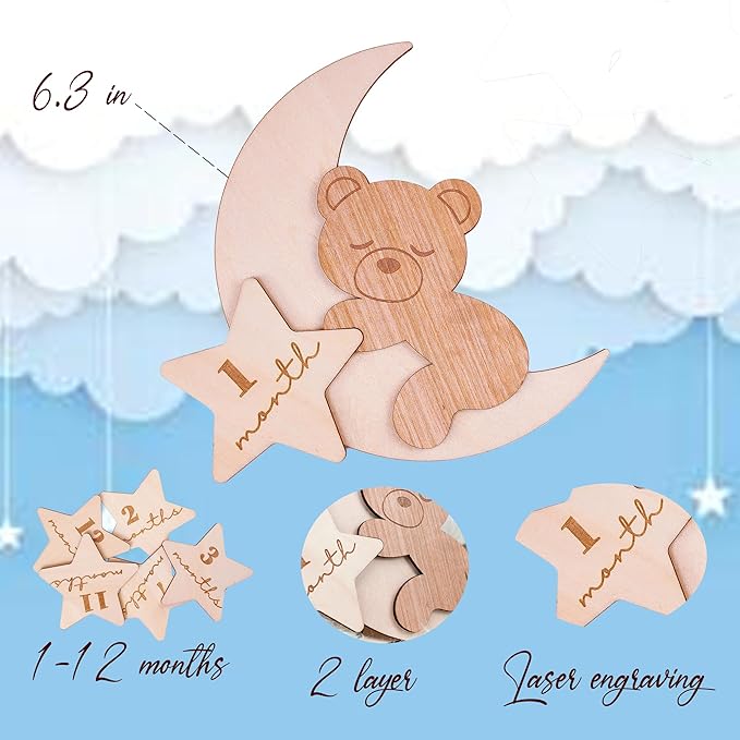 Daisy 3D Baby Monthly Milestone, Wooden Baby Milestone Signs, Monthly Milestone Wood Discs, Baby Milestone Discs (A23)