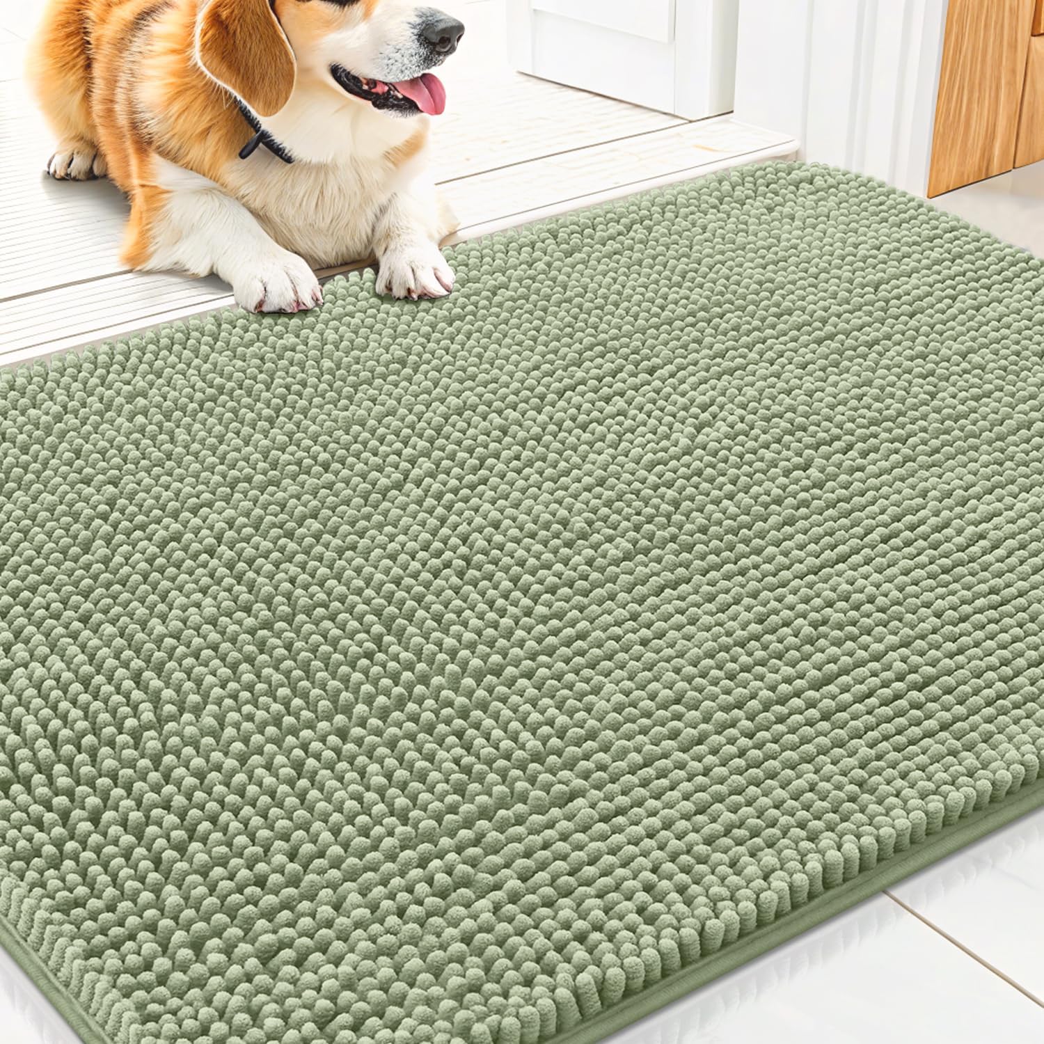 Smiry Dog Door Mat for Muddy Paws 30x20, Absorbs Moisture and Dirt Doormat, Non-Slip Washable Quick Dry Chenille Front Door Mat Indoor Entrance, Entryway Carpet for Inside Floor, Sage Green