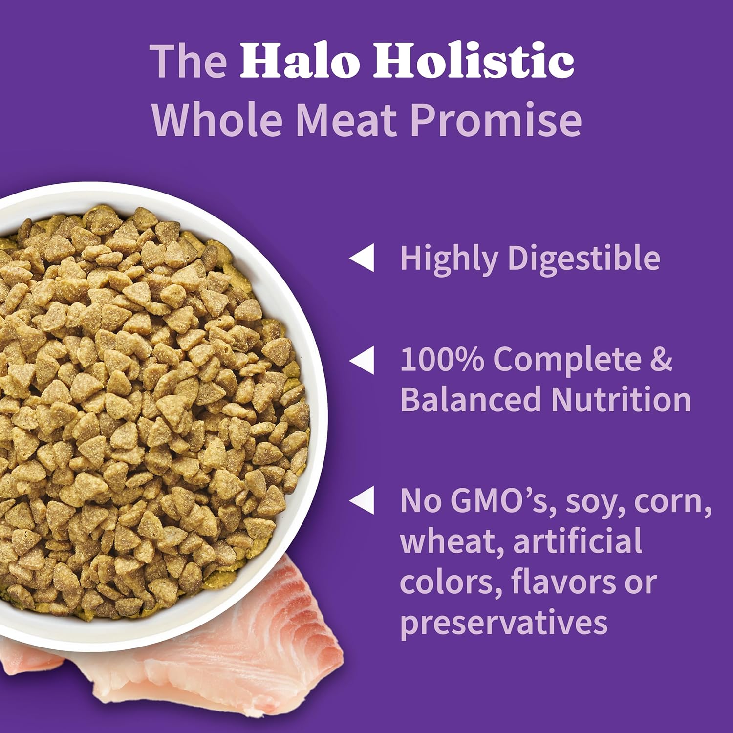 Halo Holistic Cat Food Wild Caught Salmon & Whitefish Formula, Healthy Grains Dry Cat Food, For Sensitive Stomach Support, Kibble for Adult Cats, 10 lb Bag