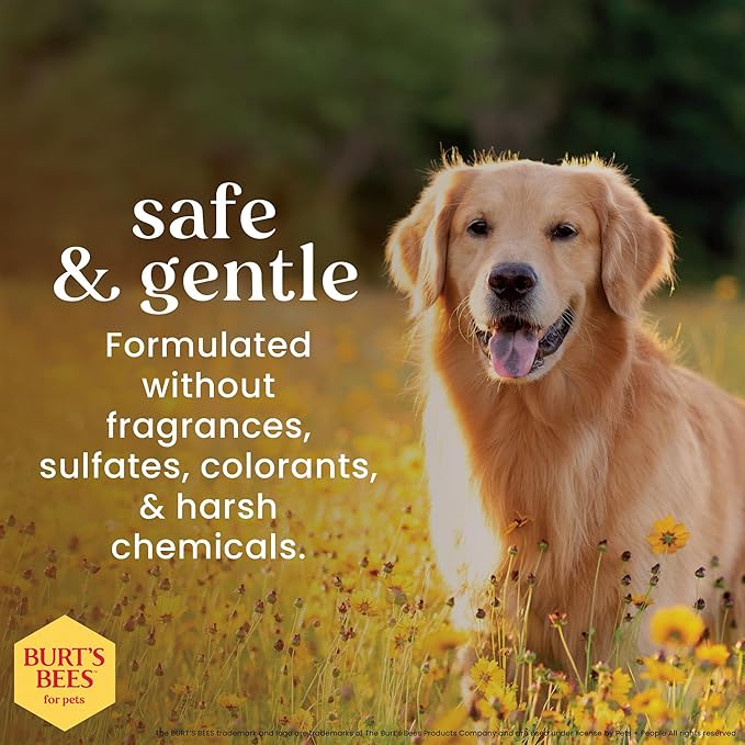 Burt’s Bees for Pets Oatmeal Dog Shampoo - Image 5