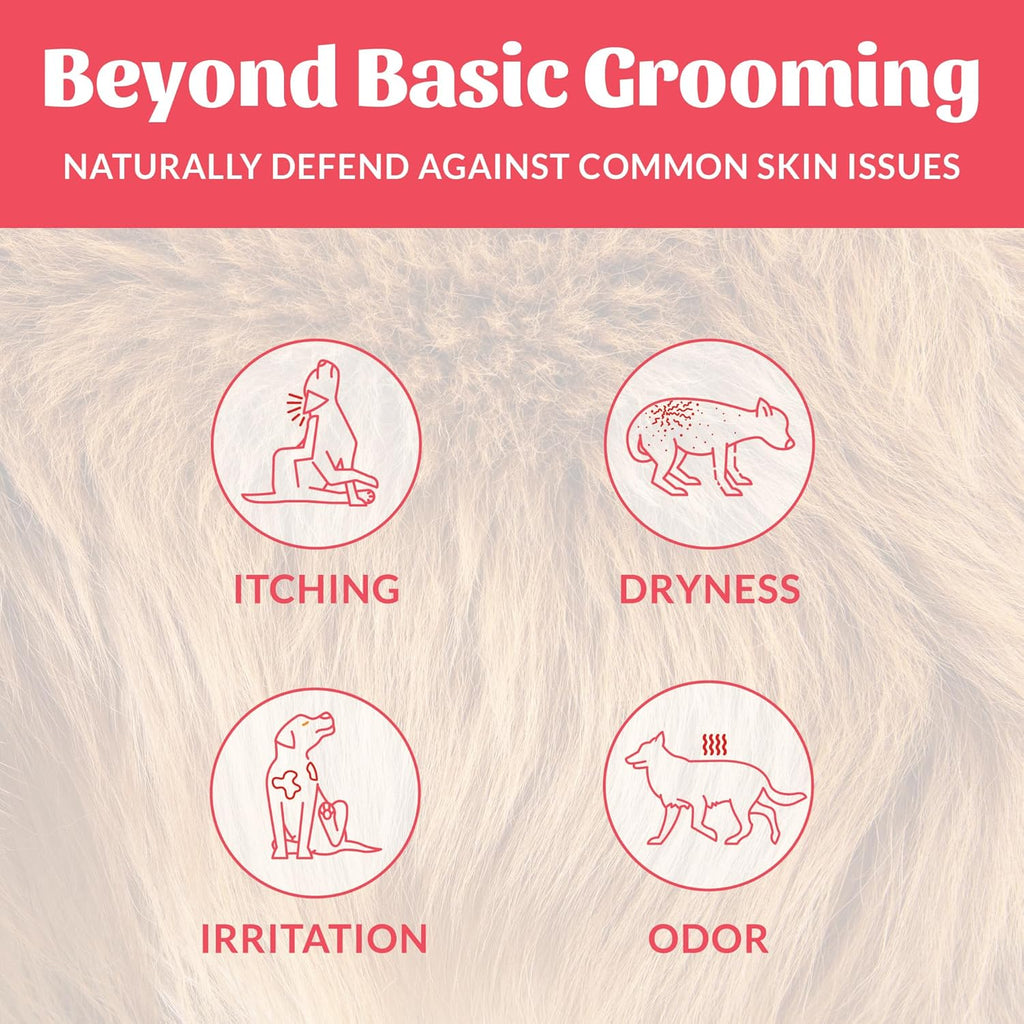 SKOUT'S HONOR Probiotic Pet Deodorizer Spray- Hydrating Daily-Use with Avocado Oil & Omega-3s, Microbiome Friendly Certiified, Paraben & Sulfate-Free, 97% Natural, 8oz, Sunkissed Coconut