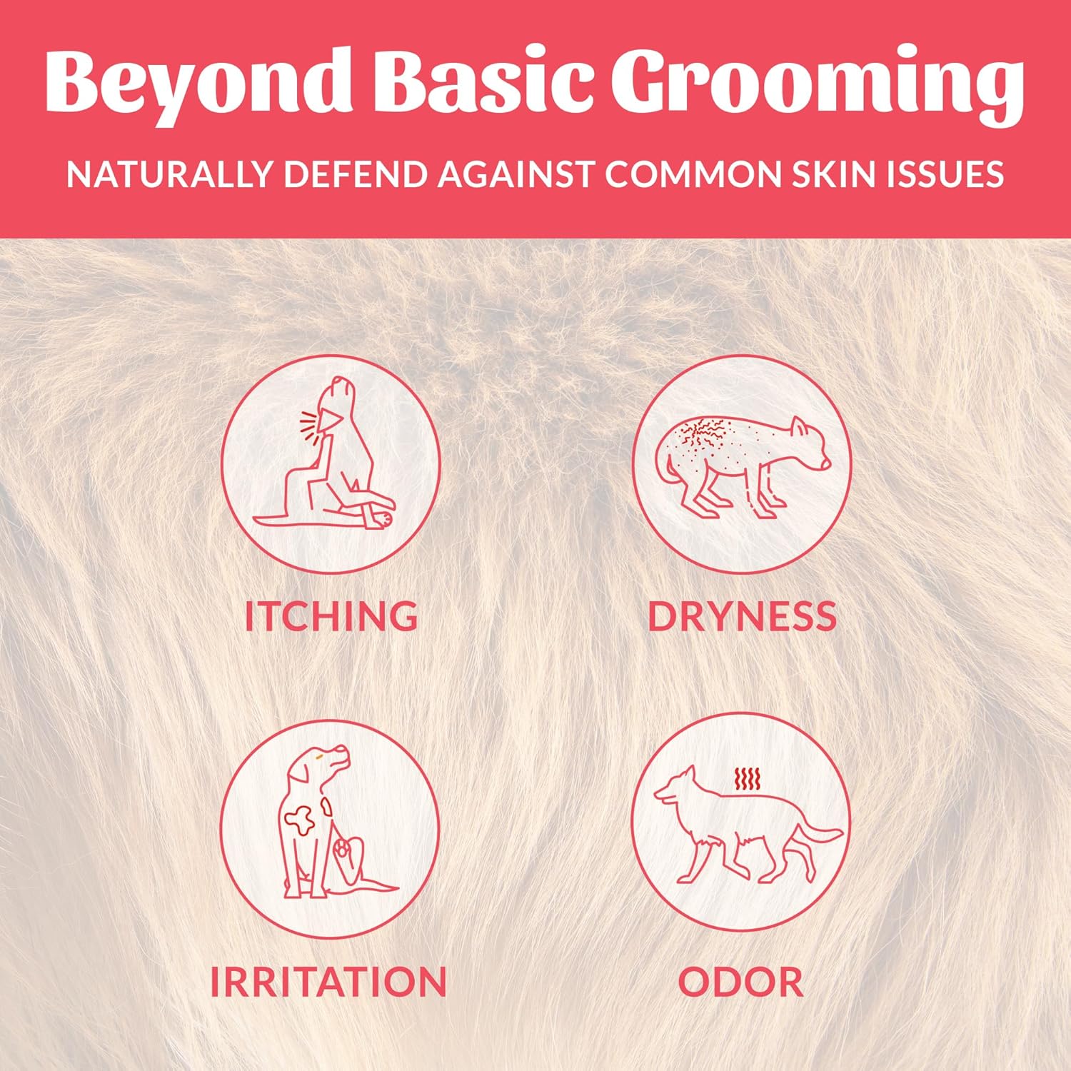SKOUT'S HONOR Probiotic Pet Deodorizer Spray- Hydrating Daily-Use with Avocado Oil & Omega-3s, Microbiome Friendly Certiified, Paraben & Sulfate-Free, 97% Natural, 8oz, Sunkissed Coconut