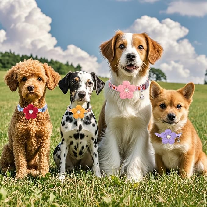 Small Dog Collar with Flower, Puppy Collar - Image 7