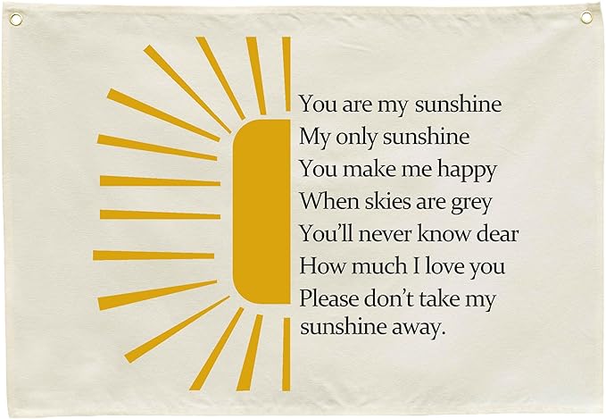 Nursery Wall Decor-Rectangular Banner Flag Poster Wall Decor for Kids Girl Boy-Playroom Bedroom Baby Room Door Sign-Baby Present Shower-Christmas Gift -You are My Sunshine-28.5"L×20"W