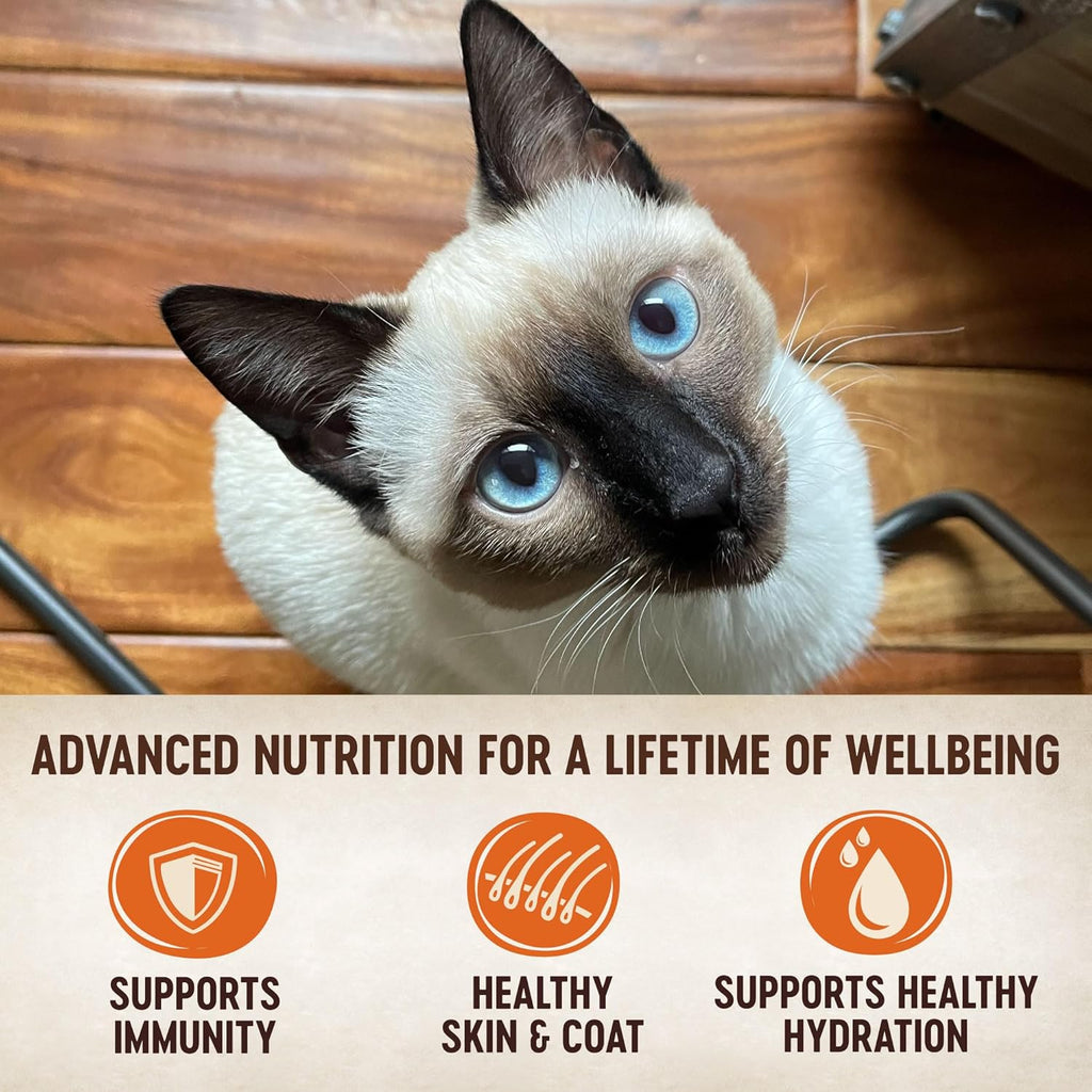 Wellness CORE Tiny Tasters Pate Adult Wet Cat Food, Natural, Protein-Rich, Grain Free, 1.75 Ounce Pouch, 12 Pack (Chicken & Turkey)