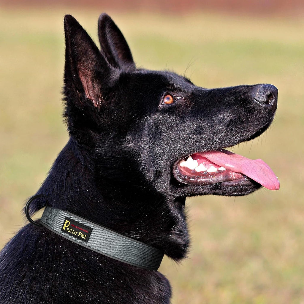 Plutus Pet Tactical Dog Collar, Reflective, Adjustable Heavy Duty Dog Collar, Soft Padded and Comfortable, for Small Medium and Large Dogs (Gray, M)