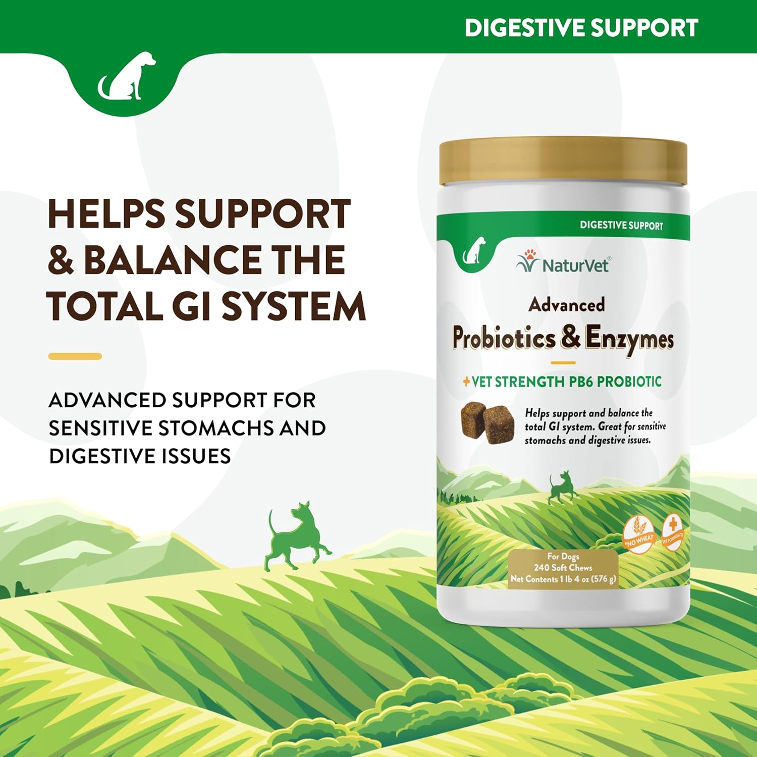 NaturVet Advanced Probiotics & Enzymes, PB6 Dog Soft Chews to Help Sensitive Stomachs and Digestive Issues, Hickory Smoked Bacon Flavored Pet Supplement for Dogs Over 6 Weeks, 240 Count Jar