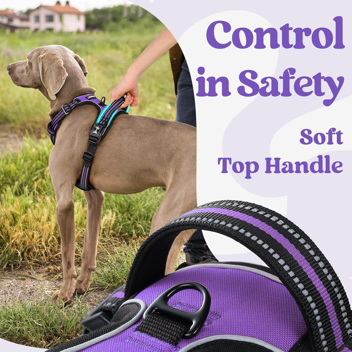 rabbitgoo Dog Harness Medium Sized, No Pull Pet Harness with 3 Buckles, Adjustable Soft Padded Vest with Control Handle, Walking Reflective Pet Vest for Medium Dogs, Purple, M