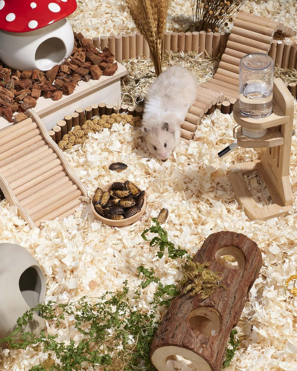 Niteangel Small Animal Snack & Treats - Small Critter Natural Treat for Dwarf Syrian Hamsters Gerbils Mice Sugar Glider Hedgehogs Chickens Birds (Freeze-Dried Dubia)