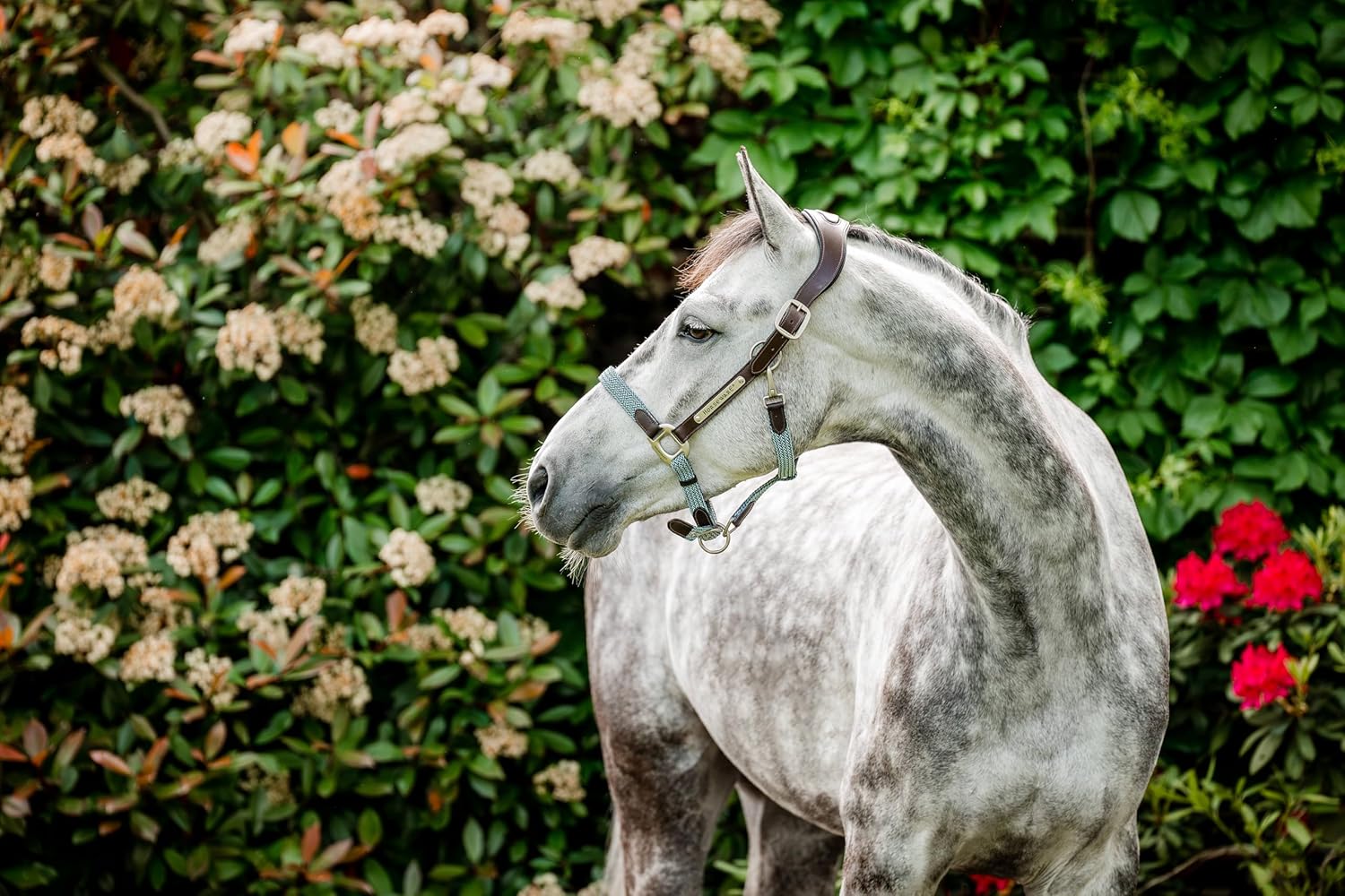 Horseware® Signature Braided Halter