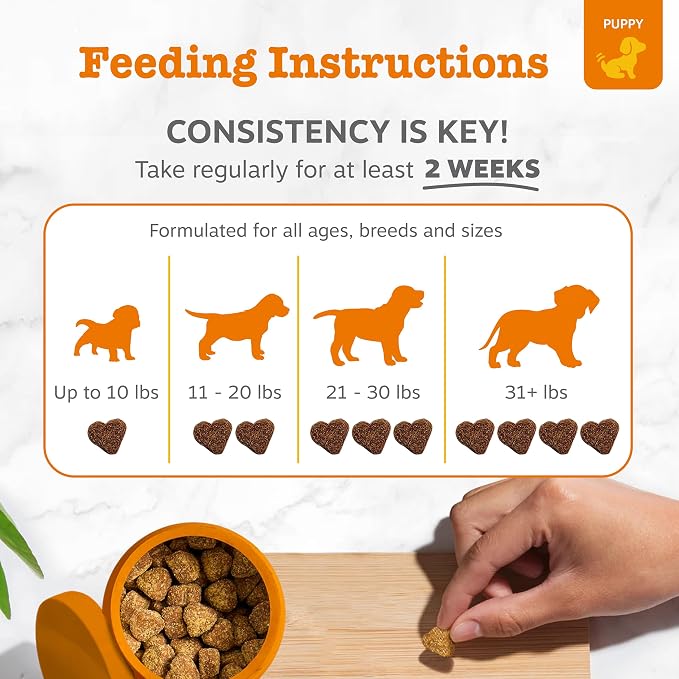 Zesty Paws Puppy Allergy Immune Bites - Image 4