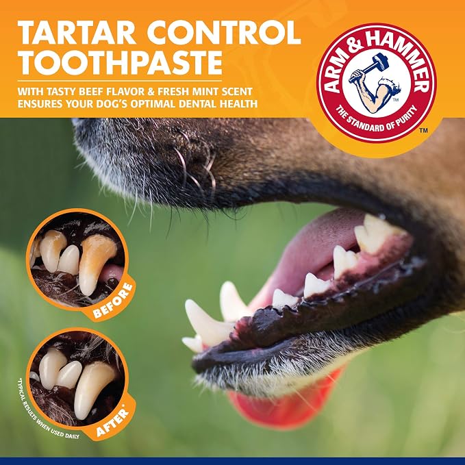 Arm & Hammer for Pets Tartar Control Dog Dental Kit, Enzymatic Toothpaste - Image 4