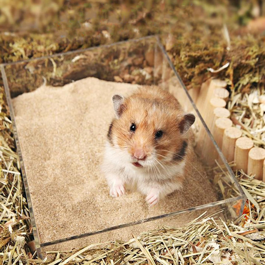 DR.DUDU Hamster Bath Sand, 12lb Dust Free Desert Sand or Potty Litter Sand for Hamster Chinchillas Gerbil Syrian Mice Small Animals (Beige)