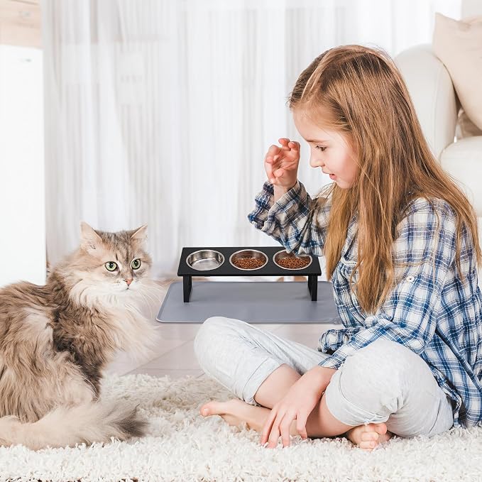 Upgraded Elevated Cat Bowls - Image 7