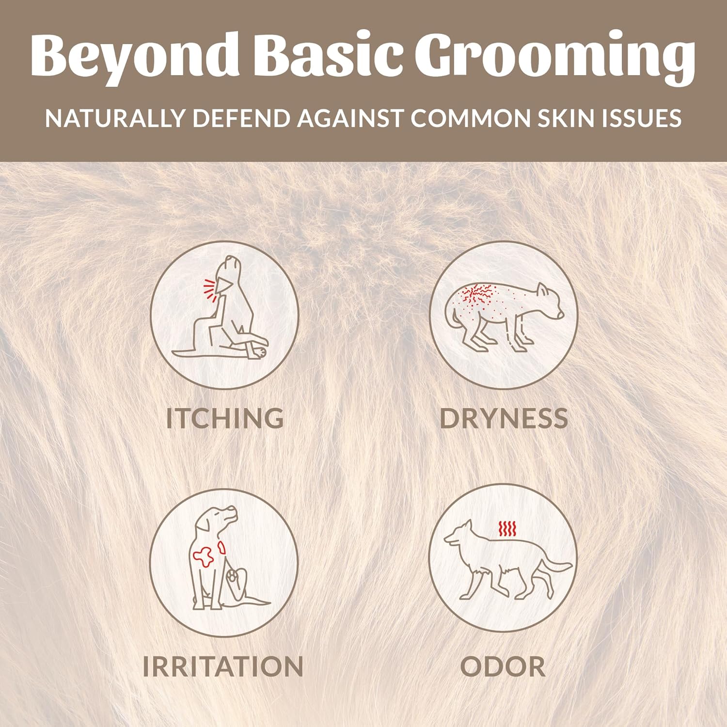 Skout's Honor Probiotic Pet Shampoo & Conditioner with Avocado Oil & Omega-3s, 97% Natural, Paraben & Sulfate-Free, Cruelty-Free, 16oz, Dog of The Woods