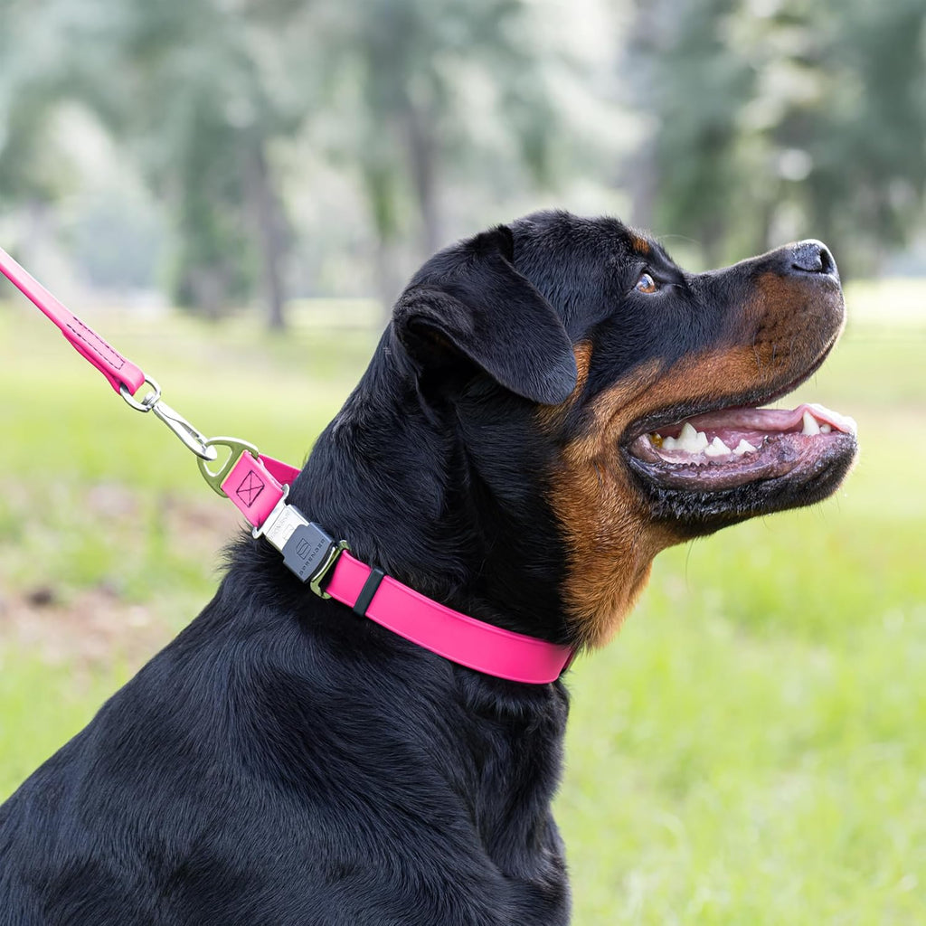 Dogline Biothane Waterproof Dog Collar with Herm Sprenger Black Stainless Steel Quick Release Buckle – Heavy Duty Tactical Durable Collar for Dogs – Comfortable and Safe Pet Collar W 1" L 15-25" Pink