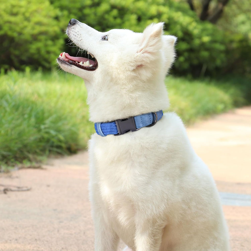 PET ARTIST Soft Cotton Dog Collars for Medium Dogs in Tranquil Blue, Simple Dog Collar with Quick Release Metal Buckle & D Ring, M Size (13-21")