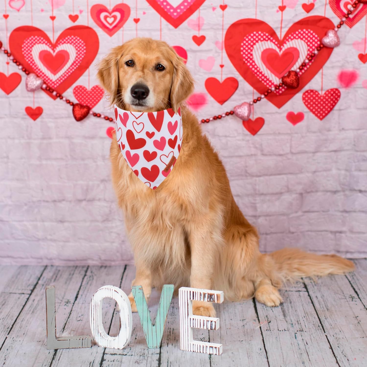 ADOGGYGO Valentine Dog Bandanas, Red Pink Heart Pet Scarf, Multi Size Offered, White Red Valentine Bandana for Medium Large Dogs (Large)