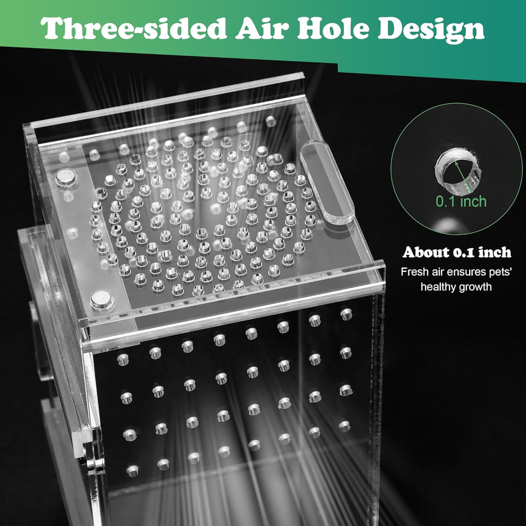 Jumping Spider Enclosure, 3x3x6 Inch Jumping Spider Habitat with Magnet Opening Door Jumping Spider Accessories Small Acrylic Terrarium for Tarantula and Praying Mantis