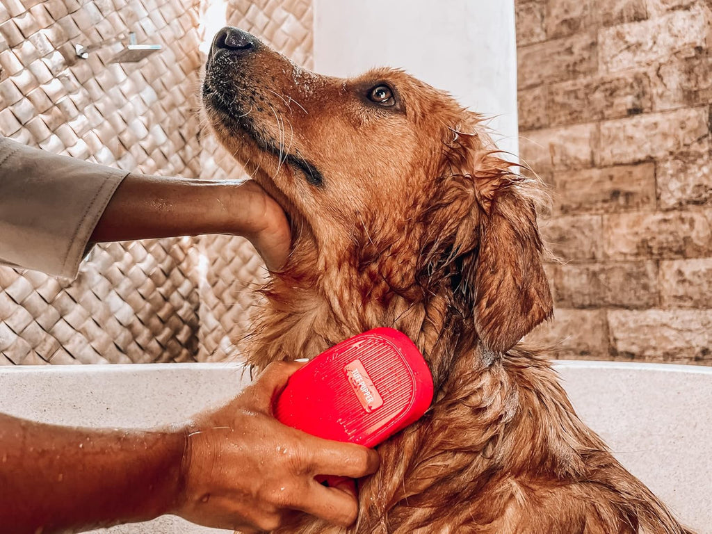 Tuff Pupper Dog Bath Brush, Silicone Pet Hair Remover Brush for Shampooing & Massaging Dogs, Dog Washing Brush with Soft Rubber Bristles Gently Removes Loose & Damaged Fur