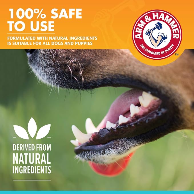 Arm & Hammer for Pets Fresh Breath Enzymatic Dog Toothpaste Vanilla Ginger - Image 4