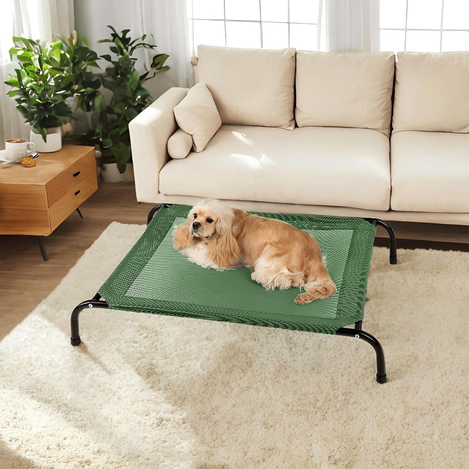 Cooling Elevated Dog Bed with Non-Slip Floor Protectors & Breathable Mesh, Raised Indoor & Outdoor Dog Cot Hammock, 34" L x 25" W x 8" Th, Small, Green