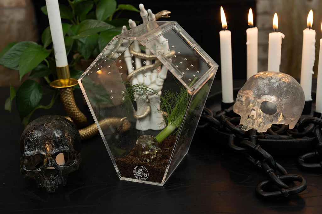 Coffin Shaped Jumping Spider Enclosure 9.5”x7.5”x5” Tarantula Enclosure Reptile Terrarium w/Sliding Magnetic Door. Great Reptile Tank Acrylic Aquarium Spider Box for Terrestrial or Arboreal Animal.