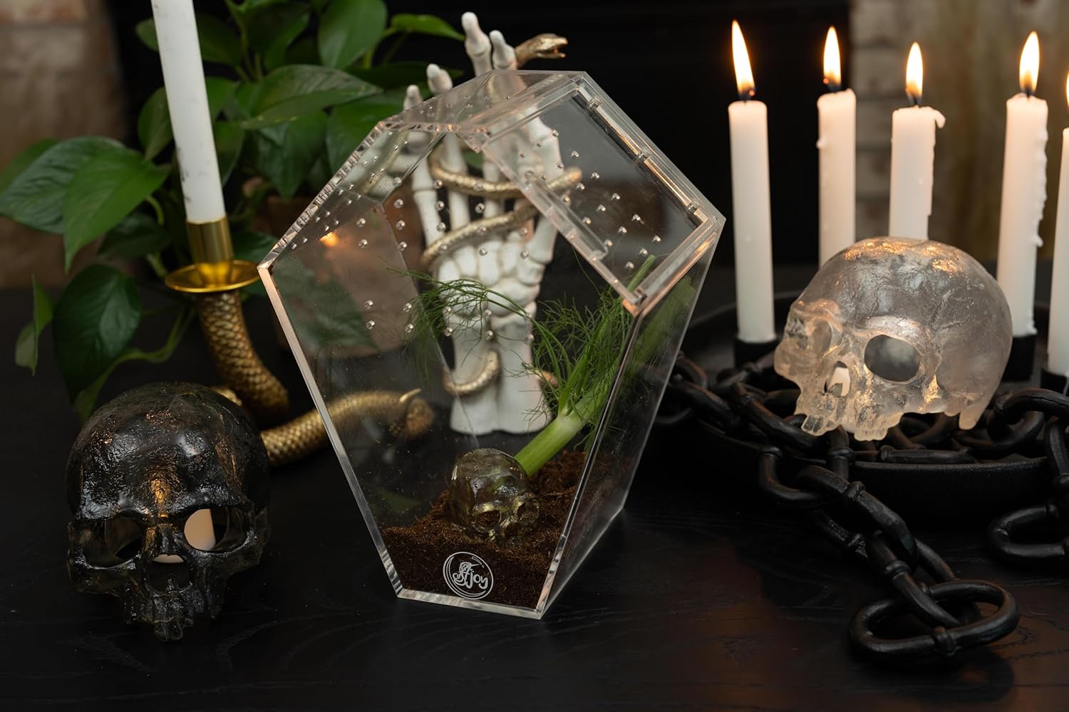 Coffin Shaped Jumping Spider Enclosure 9.5”x7.5”x5” Tarantula Enclosure Reptile Terrarium w/Sliding Magnetic Door. Great Reptile Tank Acrylic Aquarium Spider Box for Terrestrial or Arboreal Animal.