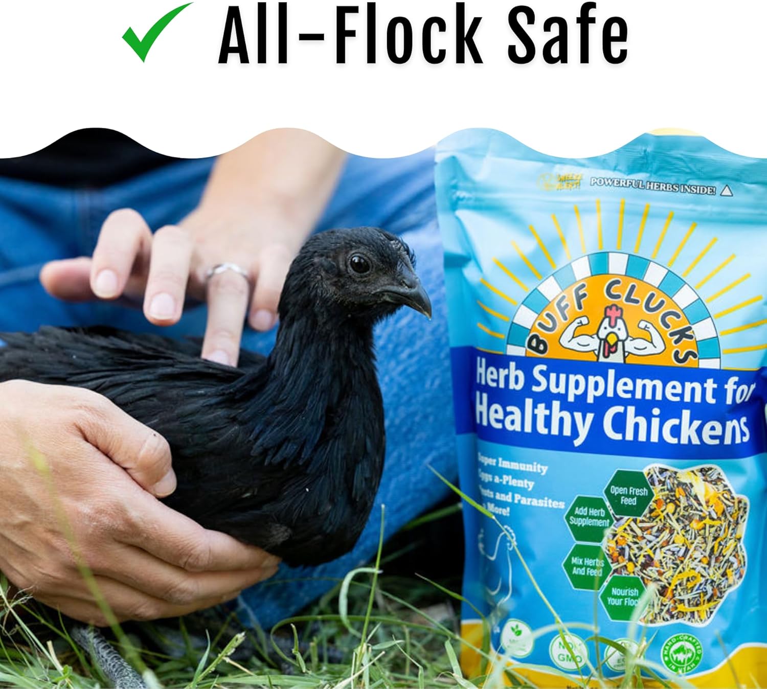 Herb Supplement for Backyard Chickens - Natural Chicken Treats, Poultry Feed Botanical Mix, Plant-Based Coop Snacks for Daily Wellness, Feather Quality, Egg Production, USA (12 oz)