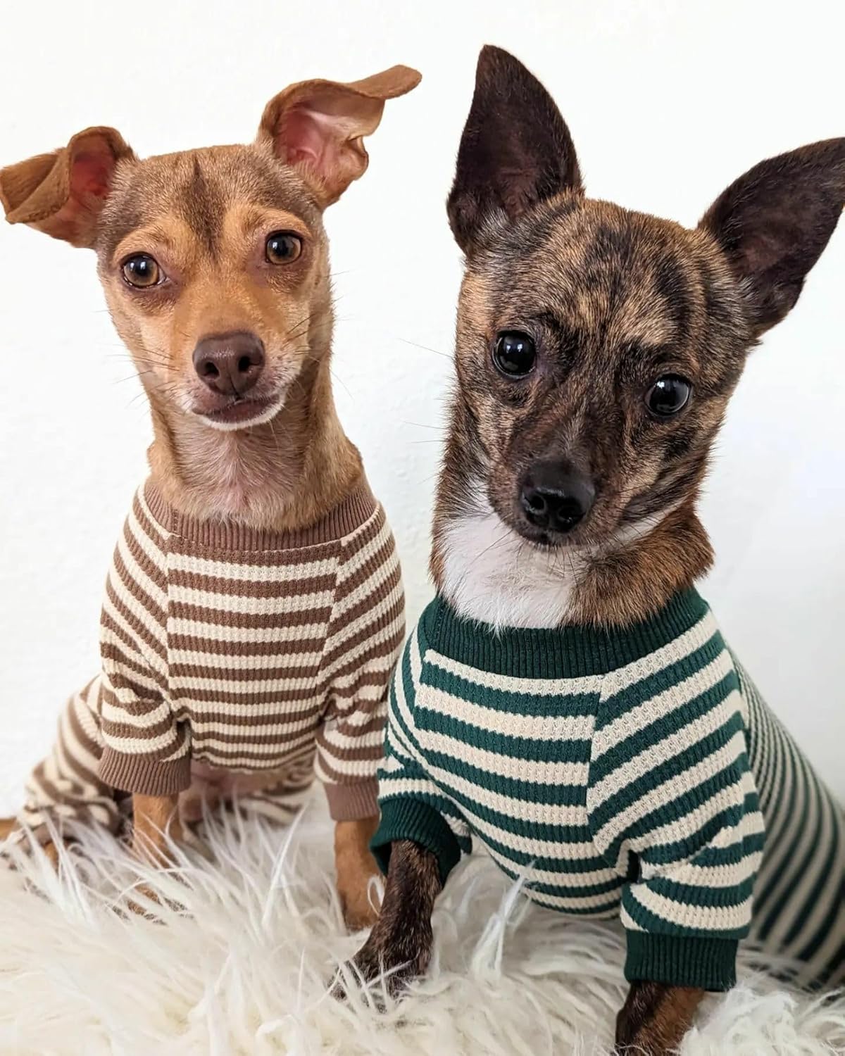 Fitwarm Green and White Striped Dog Pajamas, Waffle Dog Clothes for Small Dogs Girl Boy, Puppy Onesie with Feet, Pet Cat Outfit, Large
