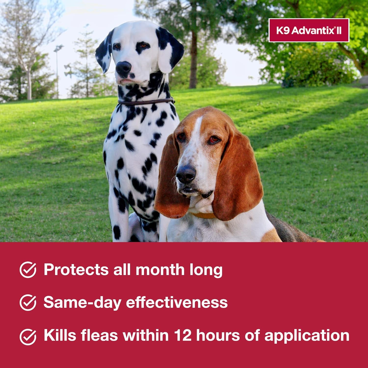 K9 Advantix II Small Dog Vet-Recommended Flea, Tick & Mosquito Treatment & Prevention | Dogs 4-10 lbs. | 6-Mo Supply