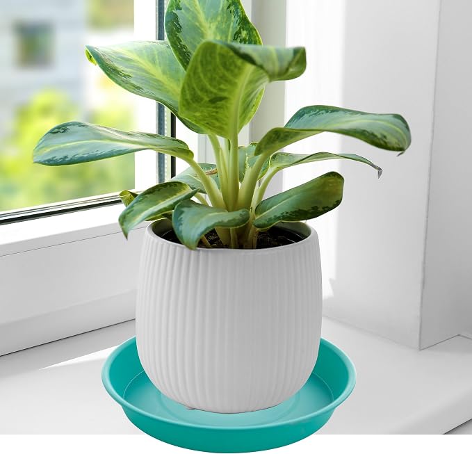 4 Pack of 14 inch Plant Saucers Bird Bath Bow Round, Plastic Plant Saucer Tray - Image 4