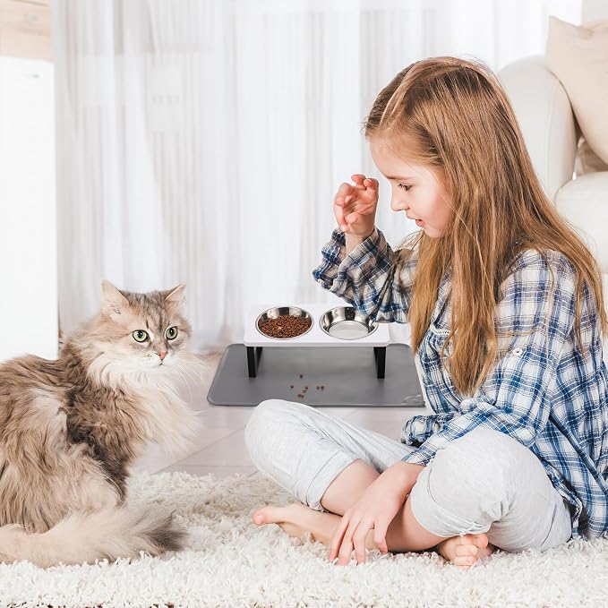 Upgraded Elevated Cat Bowls - Image 7