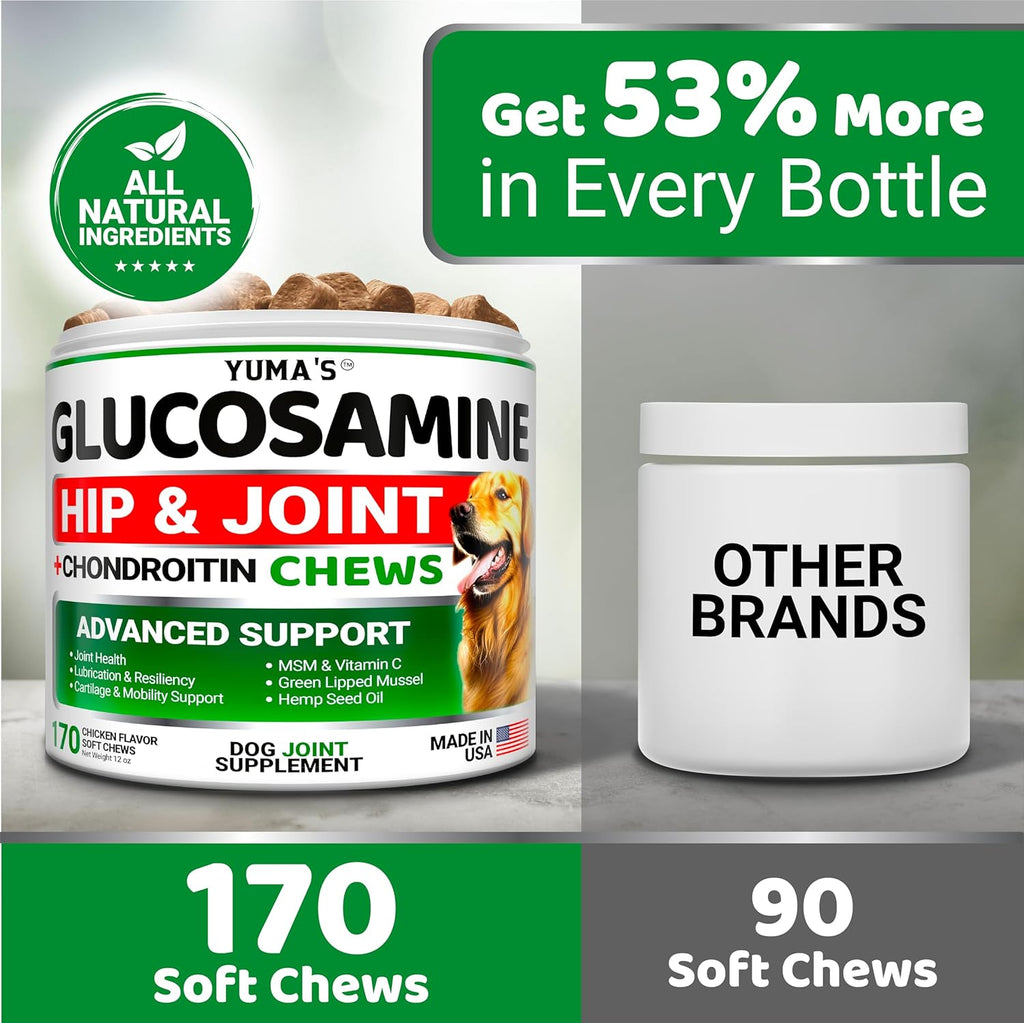 YUMA'S Glucosamine for Dogs - Hip and Joint Supplement for Dogs - 170 Ct - Glucosamine Chondroitin Chews - Joint Pain Relief Supplement with MSM - Advanced Health - Mobility Support - Made in USA