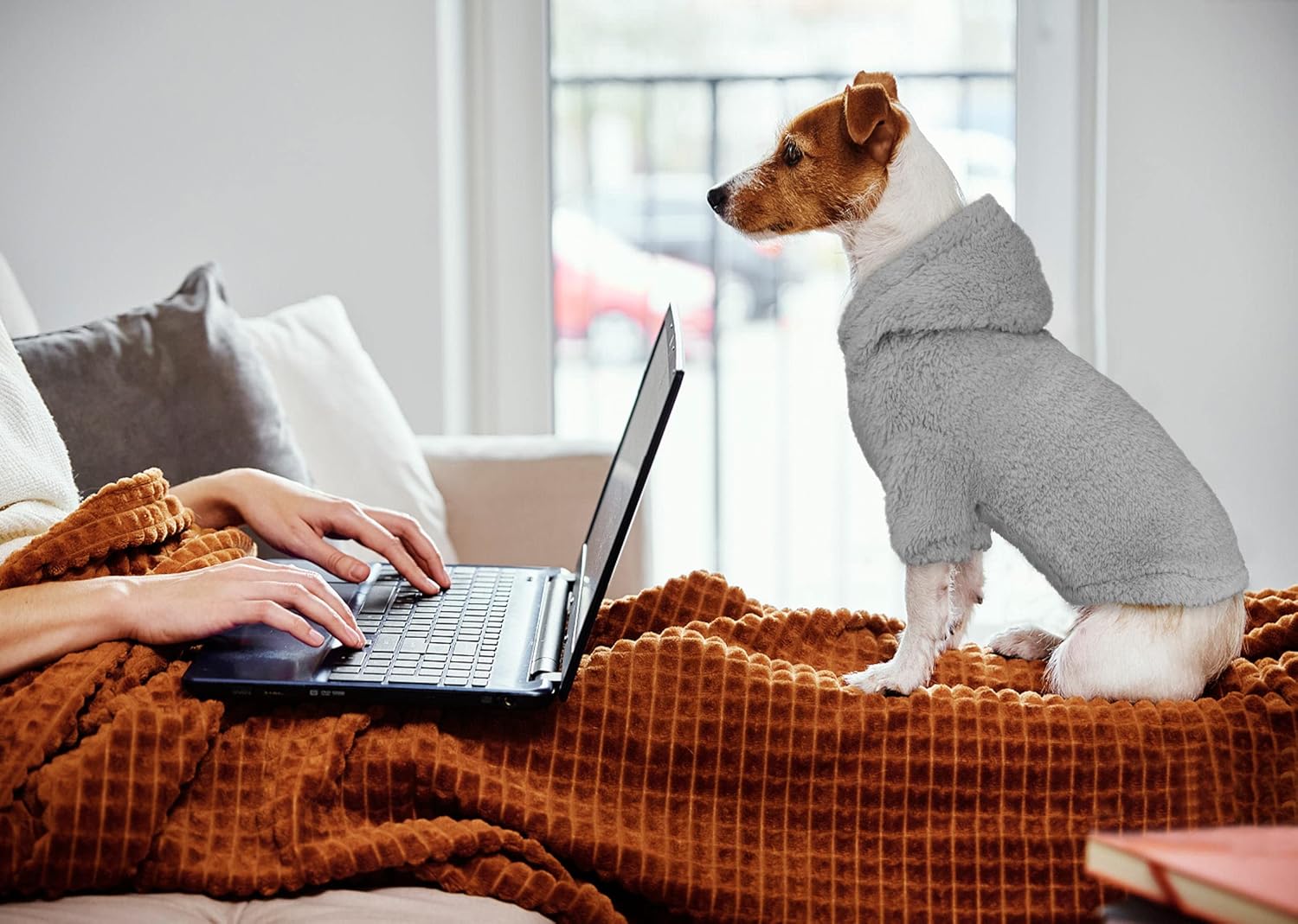 Fuzzy Dog Sweaters for Small Dogs Dog Hoodie Pet Clothes Warm Soft Cozy Coats Hooded Sweatshirt Fleece Small Pet Hoodies Sweater(Grey-S)