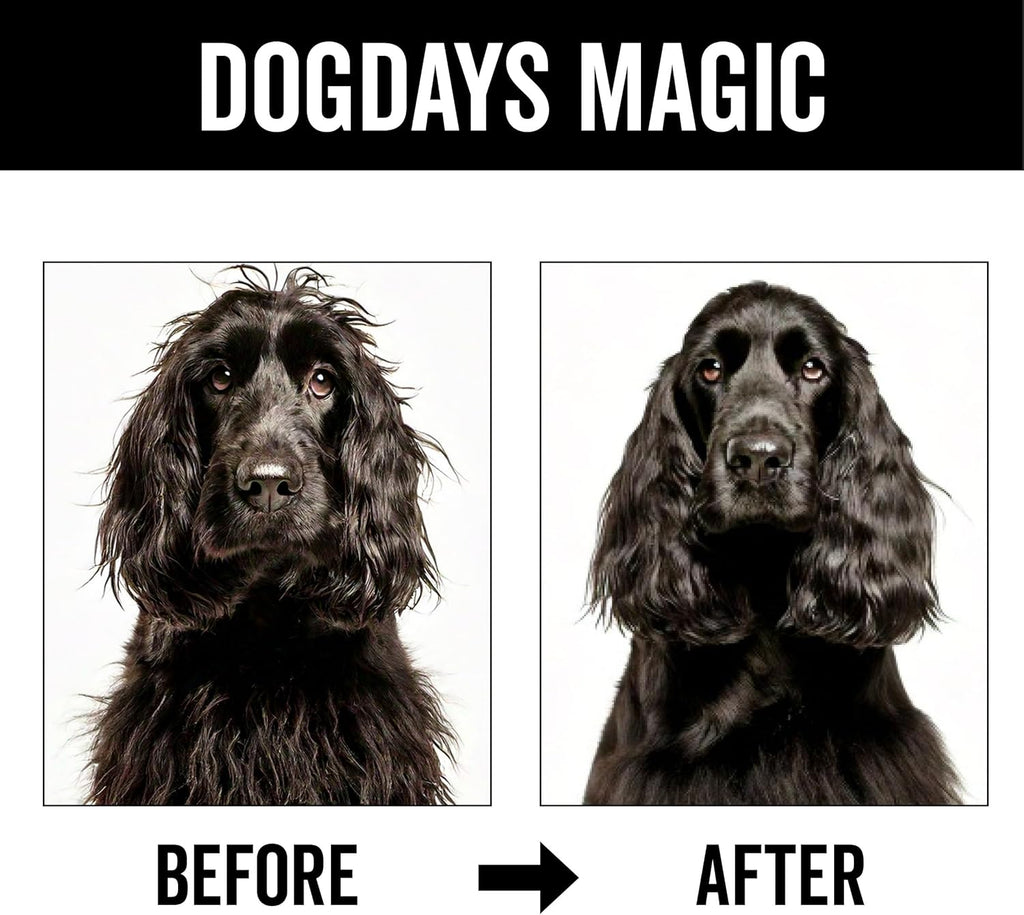 Pride and Groom DogDays Detangling Coat Spray for All Dogs | Conditioner & Detangler Spray for Shiny, Tangle-Free Fur | Hydrating & Repairing Formula with Fresh Scent | Made in USA – 16 fl oz