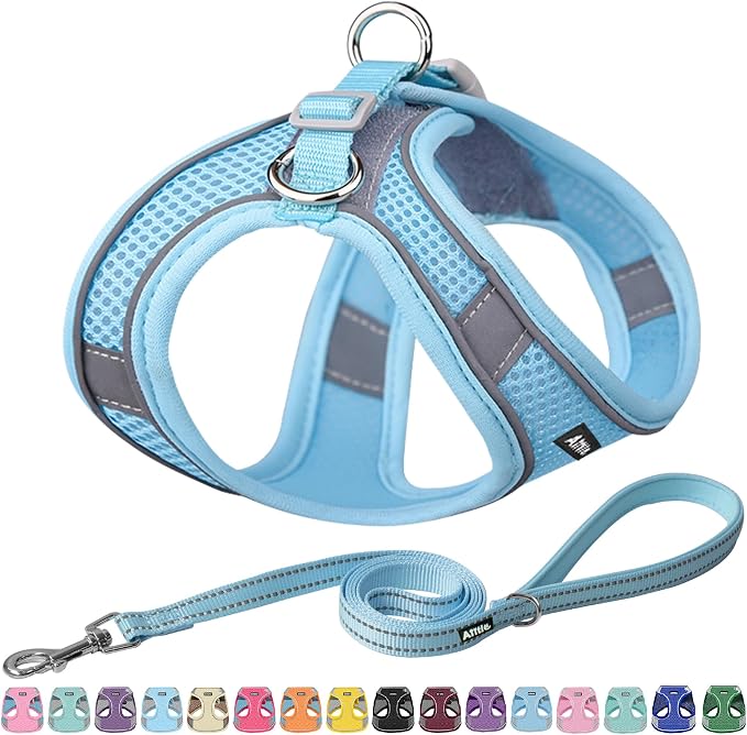 AIITLE Comfortable Dog Harness and Leash Set by AIITLE-FORPETSBETTERLIFE