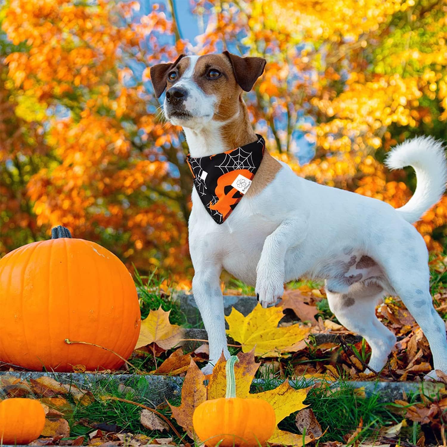 E-Clover Halloween Dog Bandanas-Pumpkin Dog Bandana Matching Scrunchie Triangle Pet Kerchief Scarf for Small Medium Large Dogs Pet Black