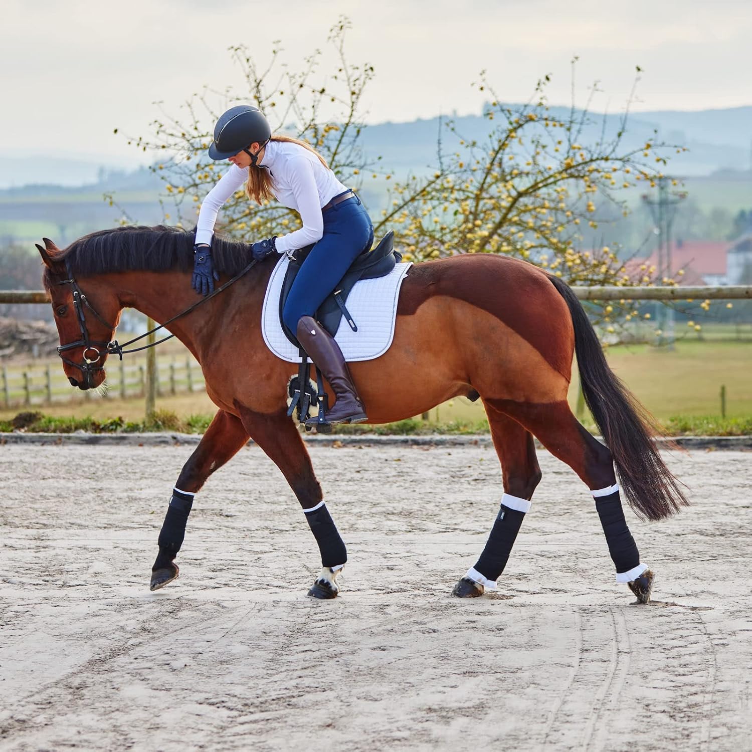 HORZE Rear Leg No Bow Equine Standing Wraps Pair - Off-White - Horse
