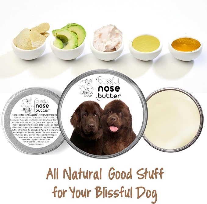The Blissful Dog Bronze Newfoundland Nose Butter - Image 2