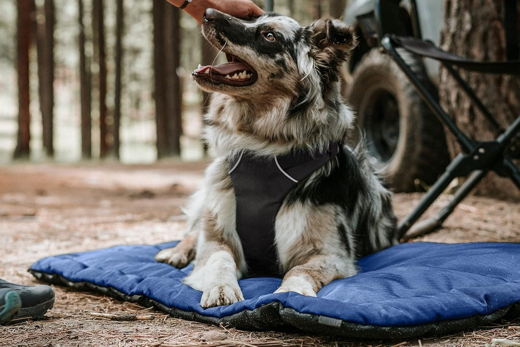 K9 Ballistics Tough Ripstop Dog Crate Pad - Durable & Machine Washable with Non-Skid Bottom and 120-Day Warranty, Fits 30" Wire Crates - Small, Blue Quartz
