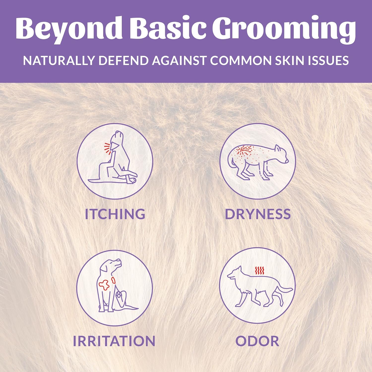 Skout's Honor Probiotic Dog Shampoo & Conditioner with Avocado Oil & Omega-3s, 97% Natural, Paraben & Sulfate-Free, Cruelty-Free, 16oz, Lavender, 2-Pack