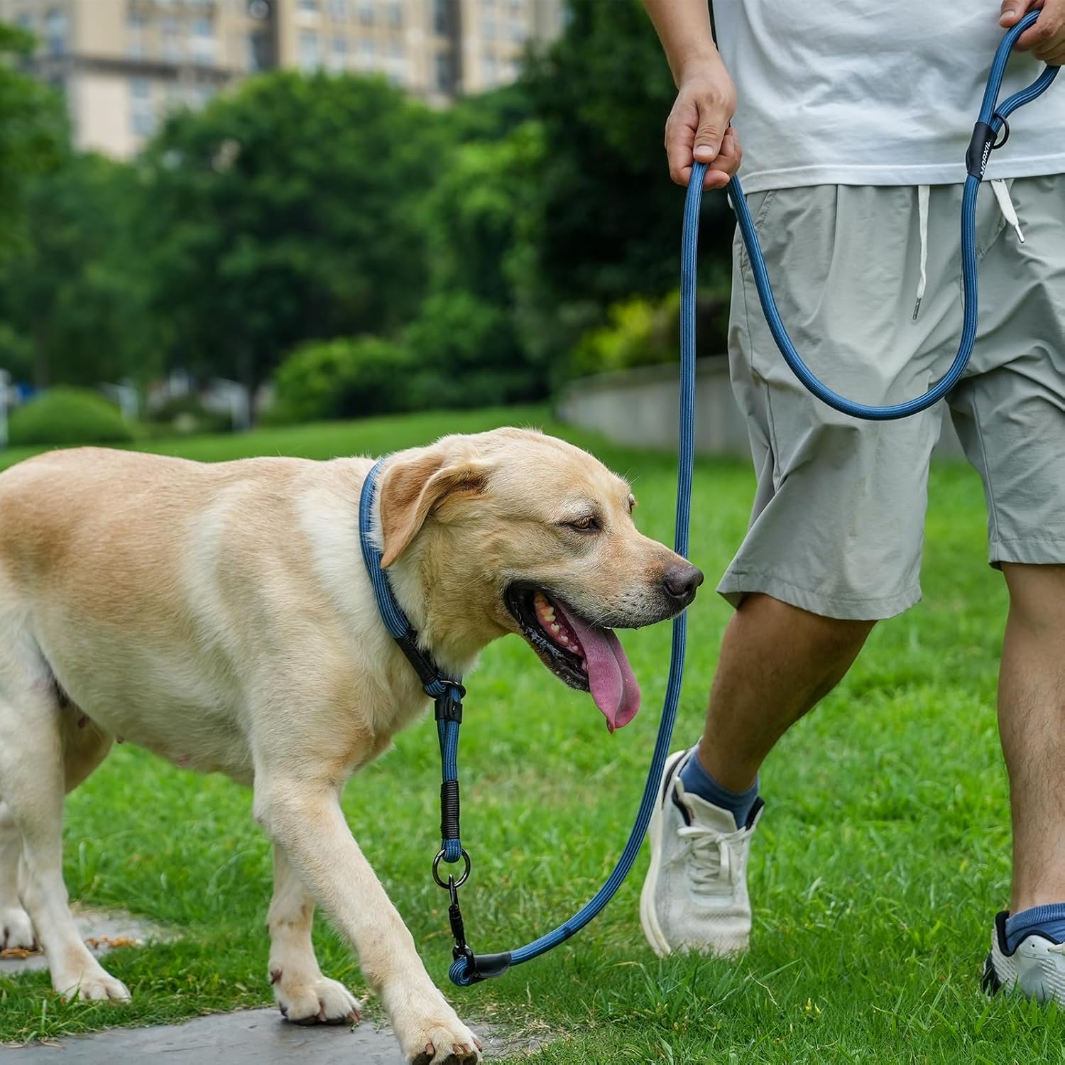 Rope Dog Leash with Two Handles, 6 Foot Heavy Duty Dog Leash with Aviation Aluminum Auto Locking Carabiner, Strong Nylon Pet Lead for Small, Medium, Large Dogs (Navy Blue, 6FT-Two Handle)