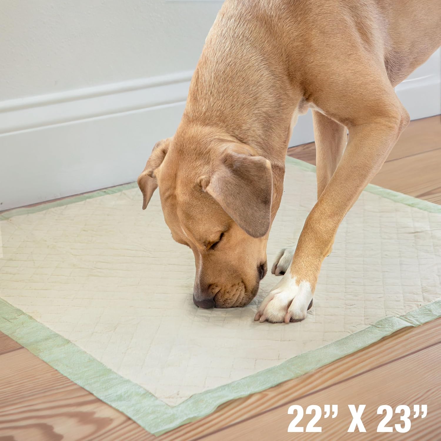 Four Paws Wee-Wee Superior Performance Bamboo Pee Pads for Dogs, Earth Friendly Dog & Puppy Potty Training Pads, Crate Liners, Housebreaking Supplies, 22" x 23" (100 Count)